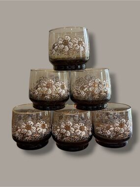 Set of 6 Floral Brown Glasses - Dominion Glass Midcentury Modern